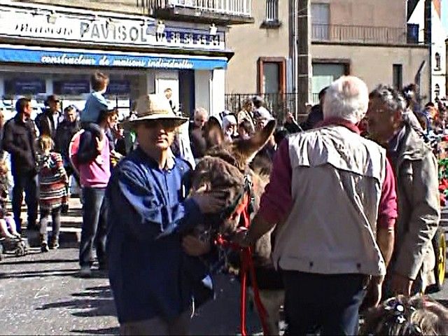 carnaval 2012 (139).jpg